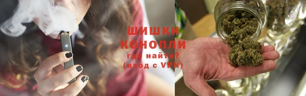 прущие грибы Галич